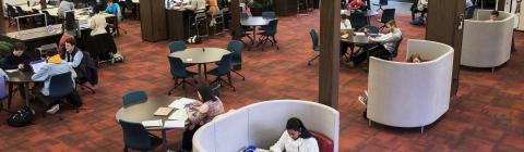 students study in library