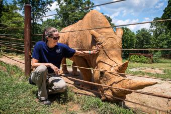 Katie Delk '06 kneels near a rhinoceros 