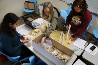 Anthropology Students Measuring Bones