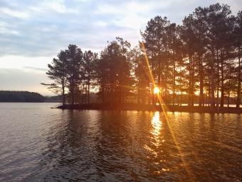 a sunrise over a wooded area around a lake