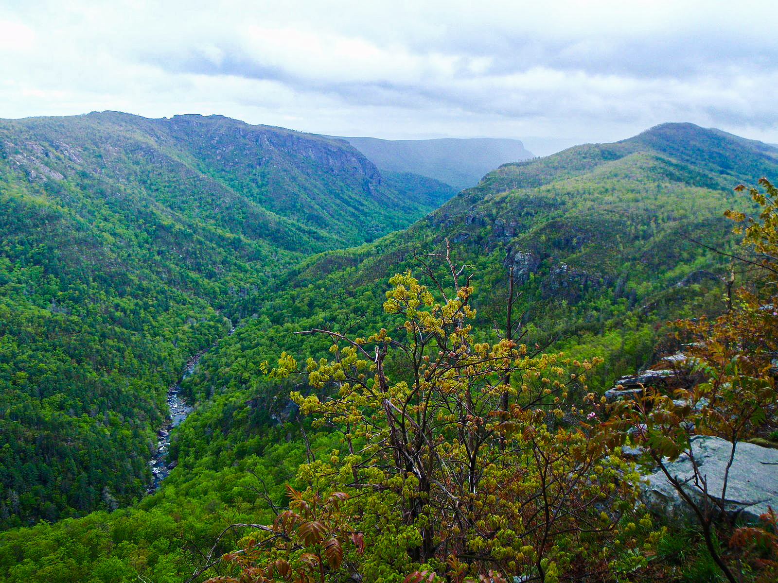 Linville Gorge View from Top 