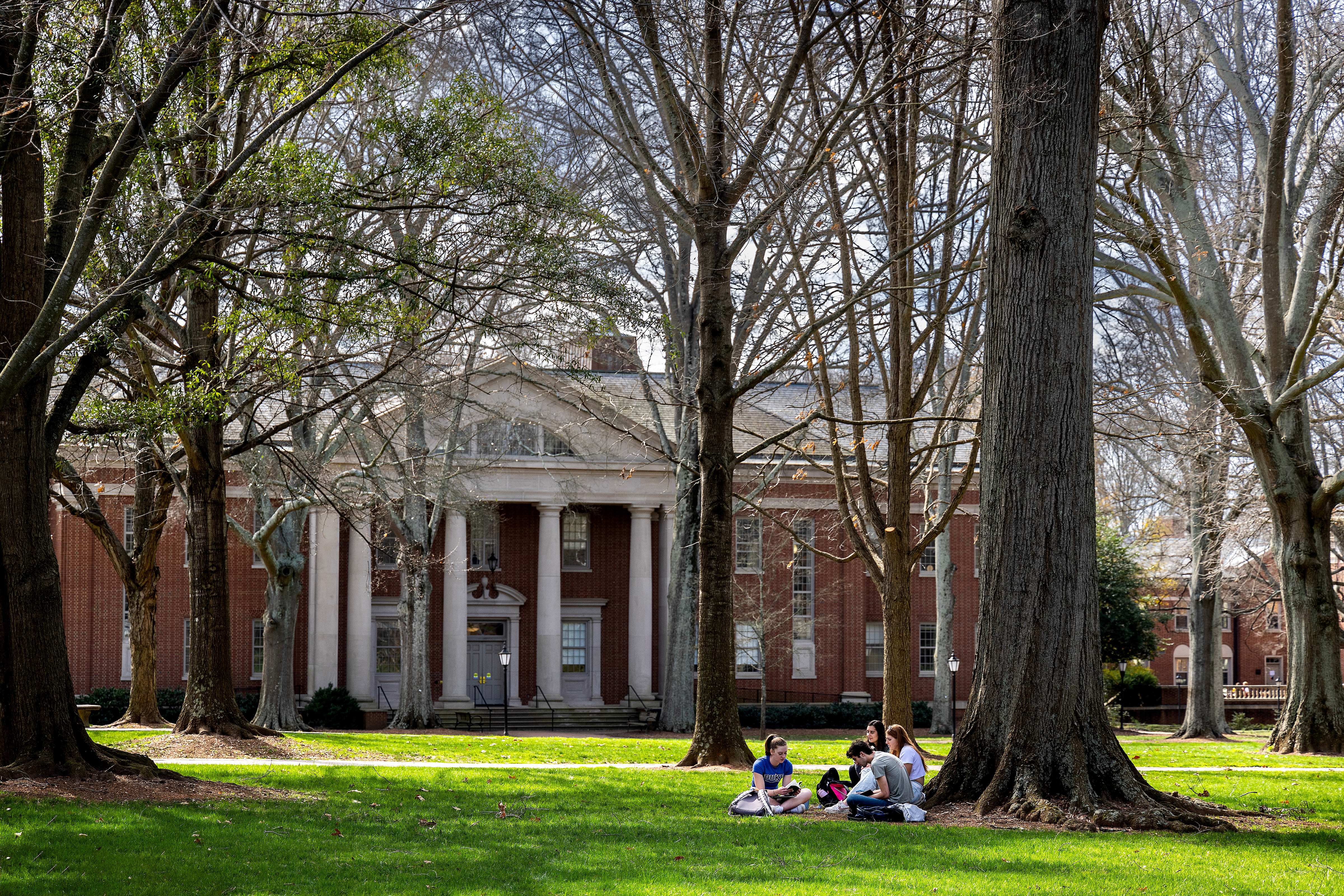 students study under tree on green grass in front of academic building