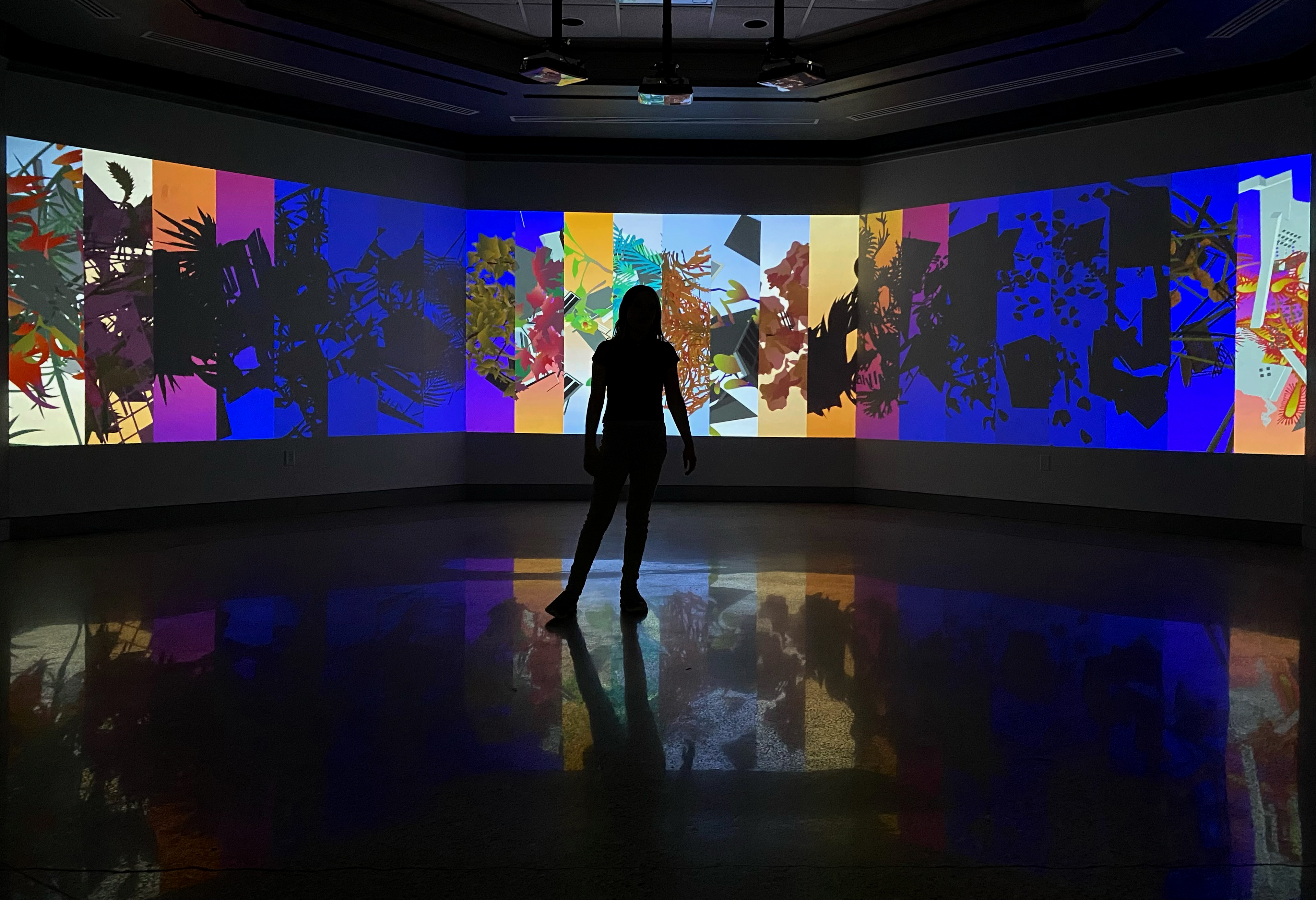 a silhouette stands in front of an art exhibit of colorful images and plants