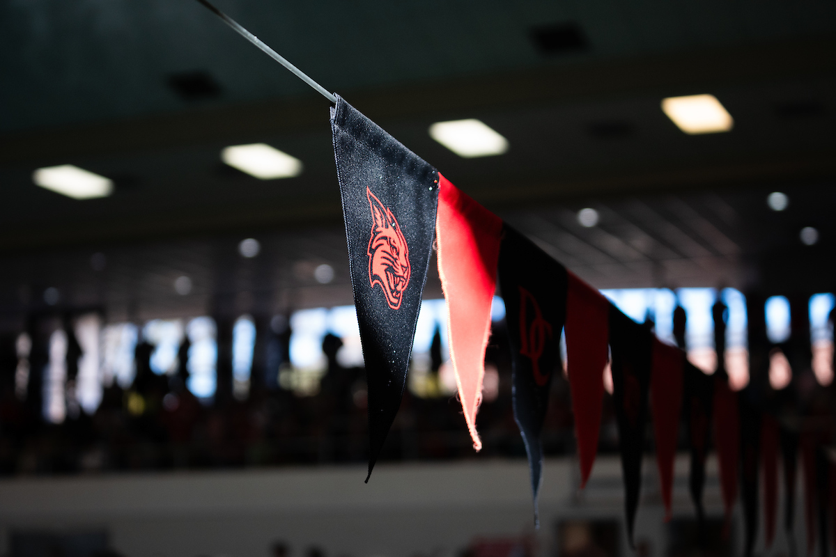 Wildcat flags at swim meet