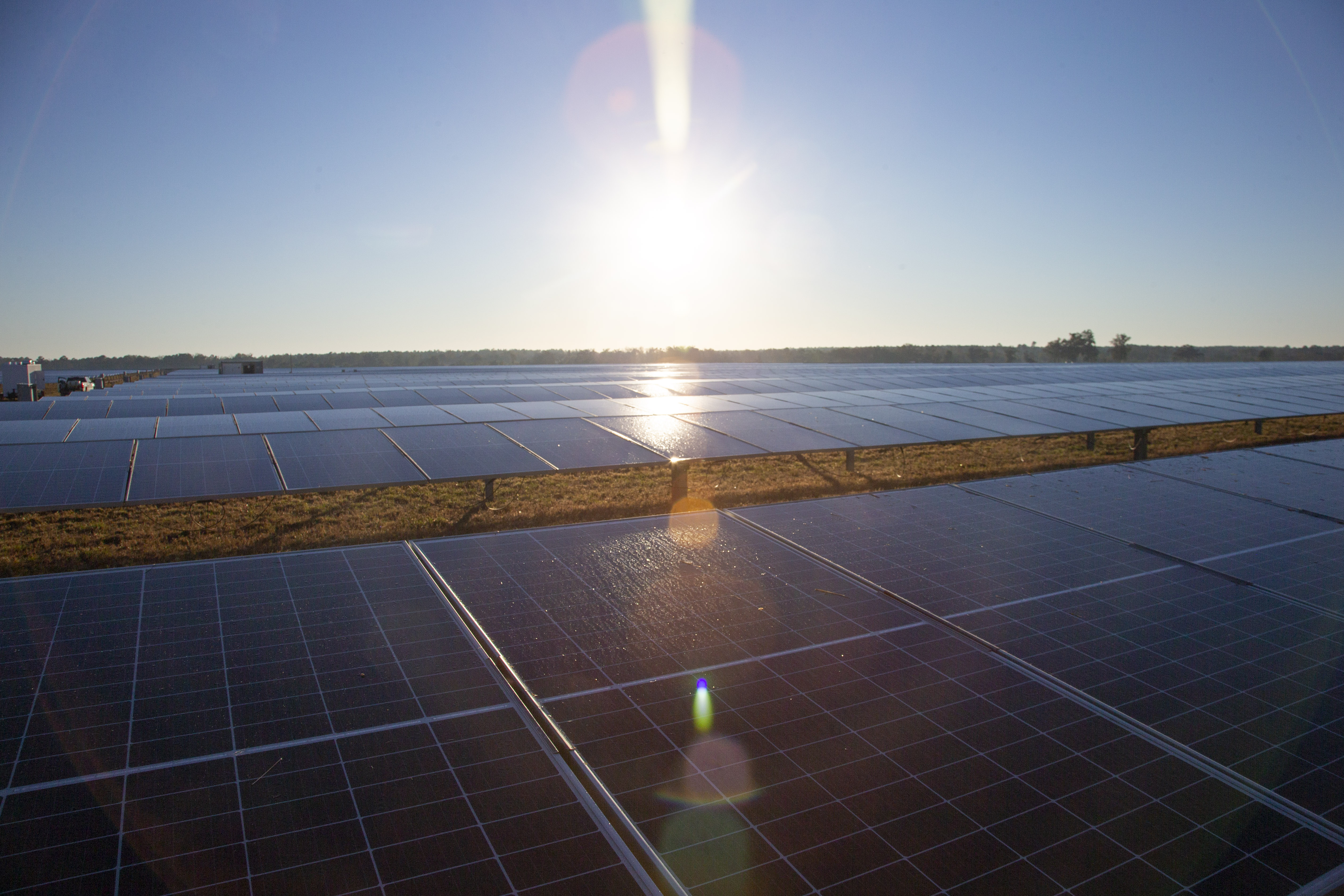 a field of solar panels on a sunny day