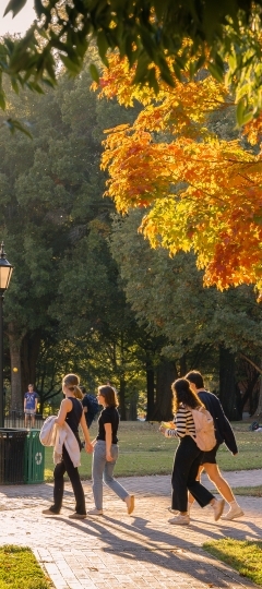 a group of students walking on a campus as sun sets and foliage is in the background