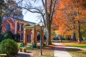 The Well in the Fall