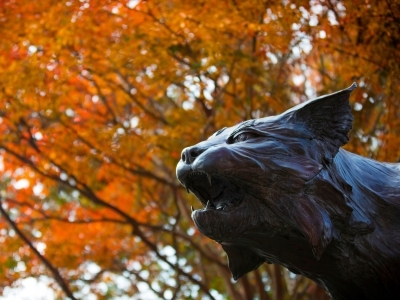 Wildcat statue head in front of orange fall leaves on trees