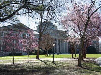 Chambers building surrounded by flowering trees