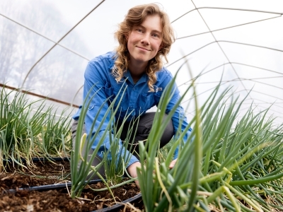 Halle Murphy, Farm Manager harvesting green onions in a blue shirt