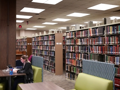 Student on Computer in EH Little Library