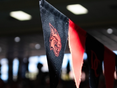 Wildcat on a flag at swim meet