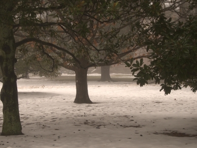 Snow and fog on campus