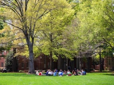 Students sitting on quad below spring green trees