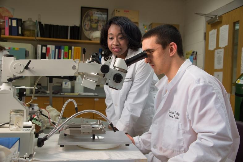 Two students stand at lab bench, one is looking through microscope