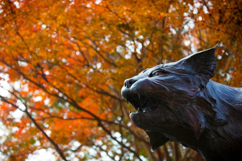 Wildcat statue head in front of orange fall leaves on trees