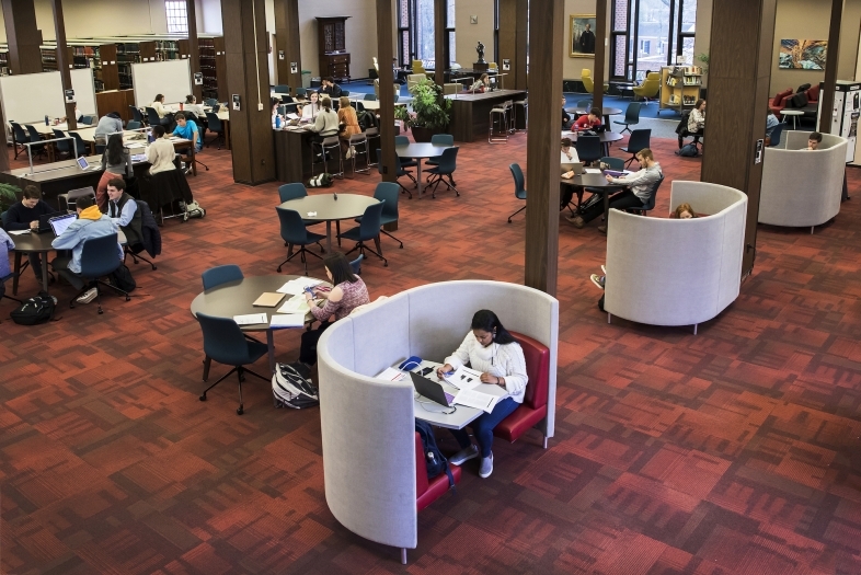 students study in library