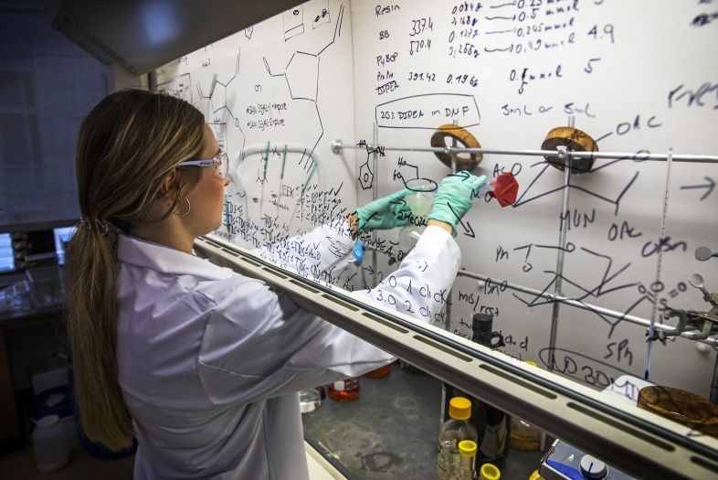 Student works on experiment under a glass hood