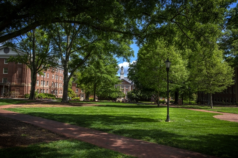 Davidson College Campus Beauty Featuring Trees and Brick Buildings