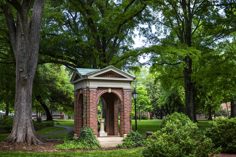 The Old Well Surrounded by Trees