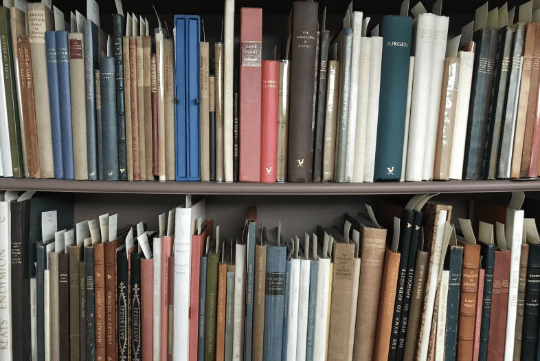 Books on shelves of Davidson College archives 