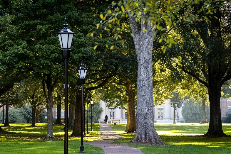 outdoor trees around Davidson College building