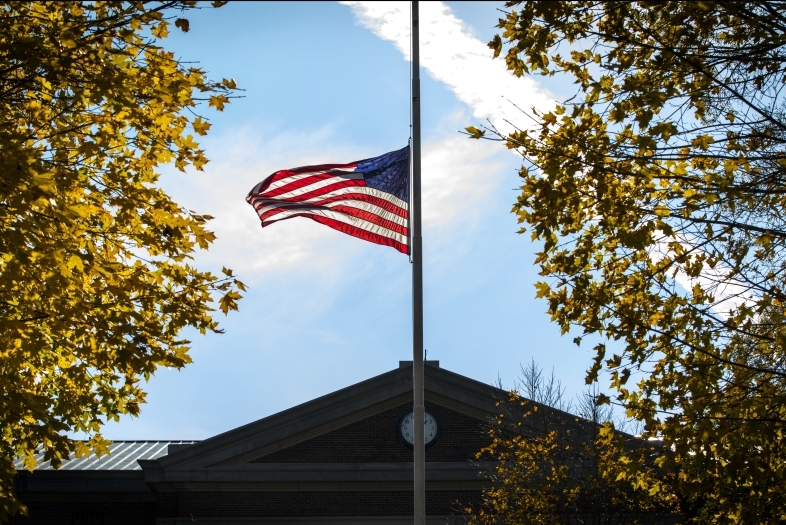 American Flag with Foliage and Blue Sky