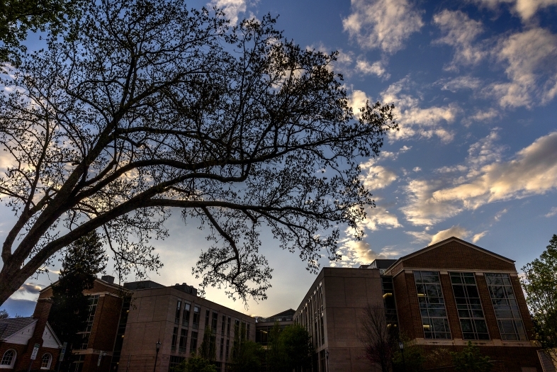 Blue Sky and Clouds with Tree in Foreground