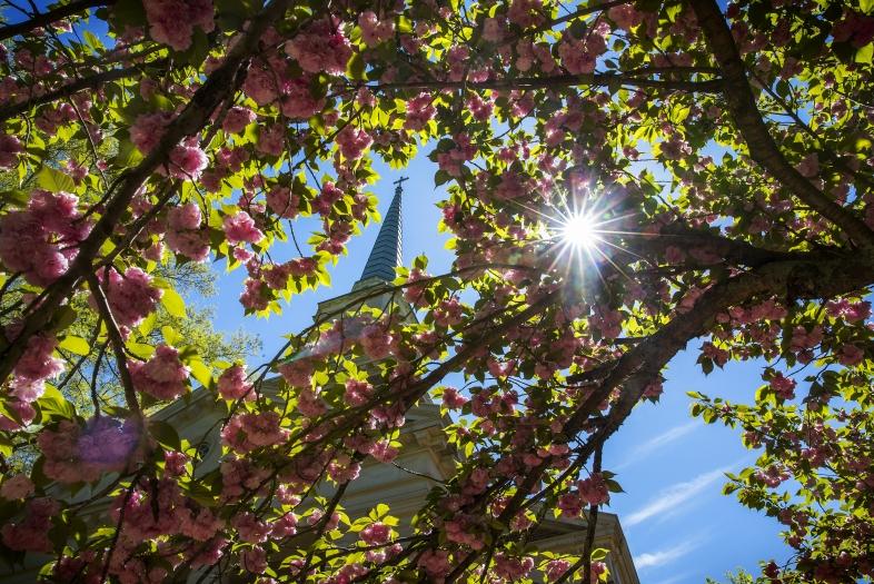 DCPC Church and Spring Foliage