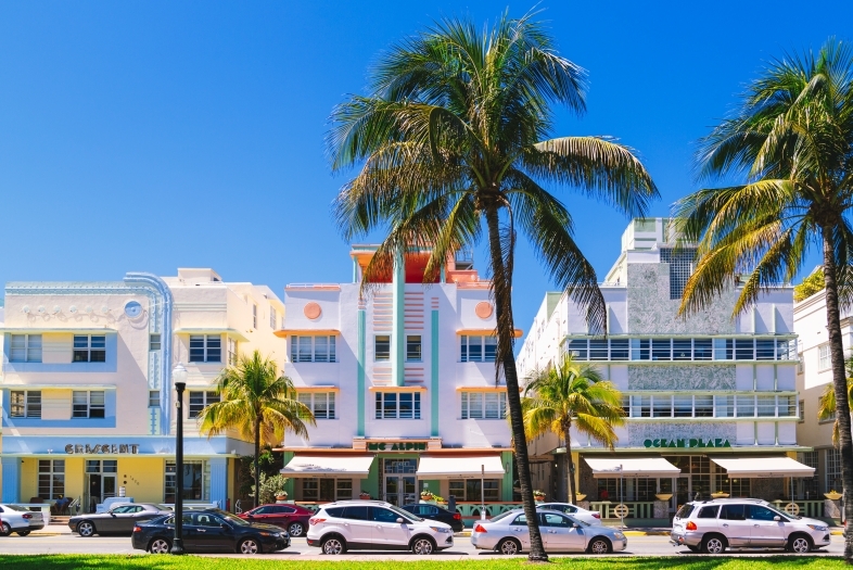 buildings and palm trees in Miami, Florida