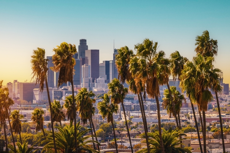 Los Angeles, California Skyline with palm trees in the foreground