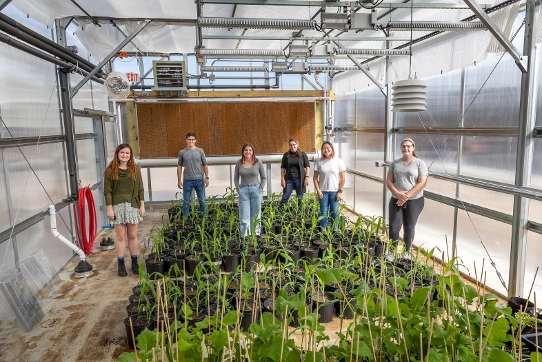 Students in the Peroni greenhouse