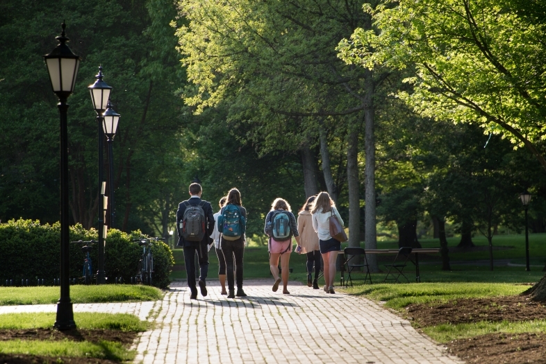 a group of students walk down a brick pathway on a sunny day