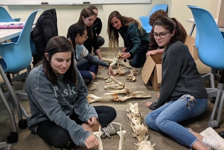 Anthropology students in class with a skeleton 