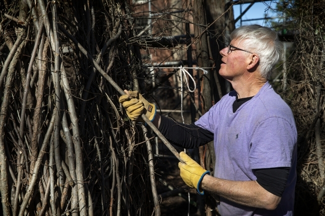 Patrick Dougherty working on the Sculpture