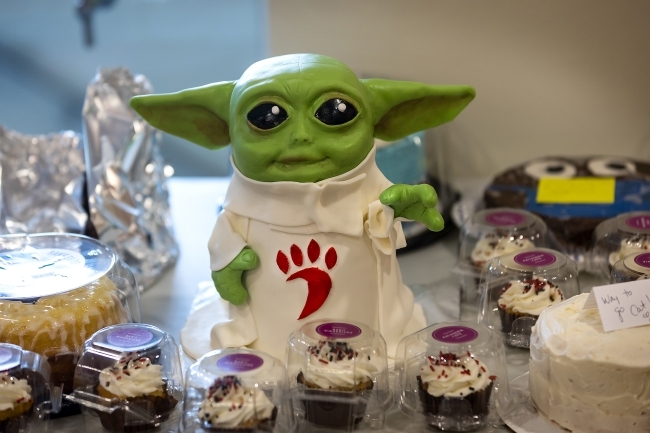 Baby Yoda Cake at Cake Race