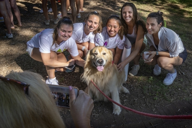 Sully the Dog joins students at the 2022 Cake Race