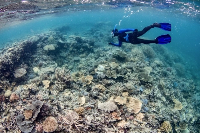 Virginia Gilliland ’22 scuba diving