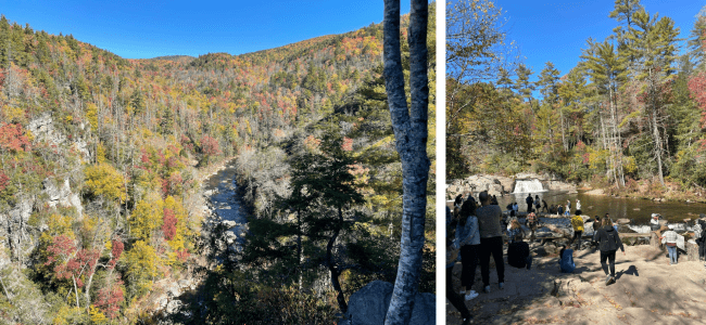 a compilation of images from a mountain scene in nature