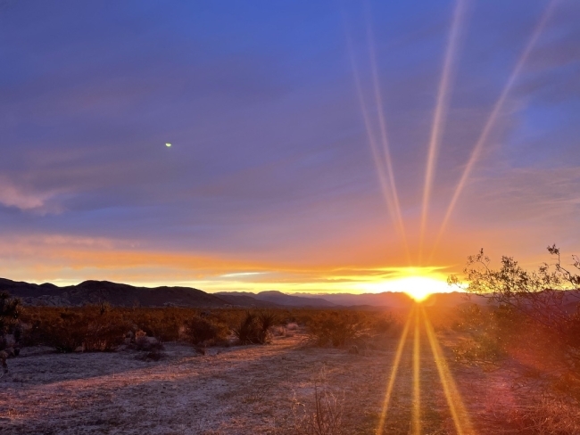 a vivid sunset 