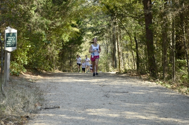 a young woman runs on a cross country trail in the woods