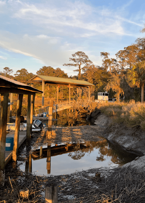 a set of wooden docks on a creek 