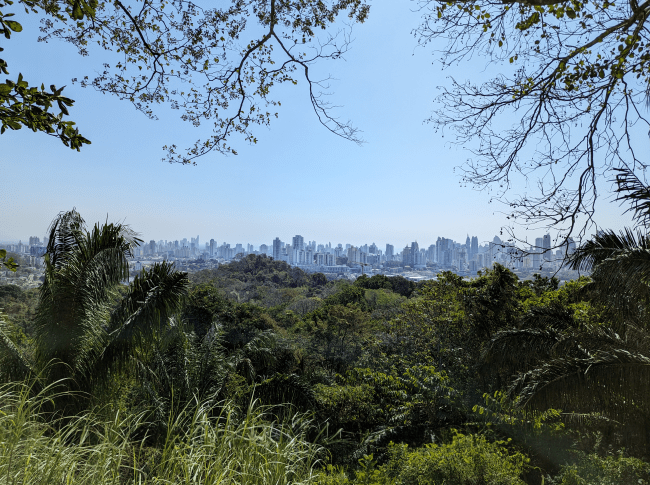 Panama City skyline