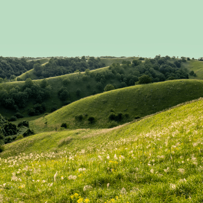 Rolling hills on green background