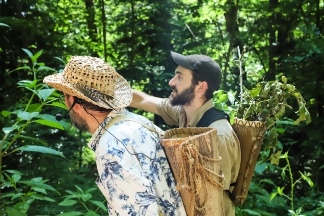 two young men pick plants in the woods