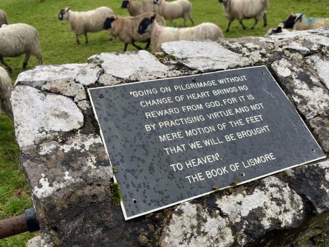 a stone with en engraving with sheep in the background