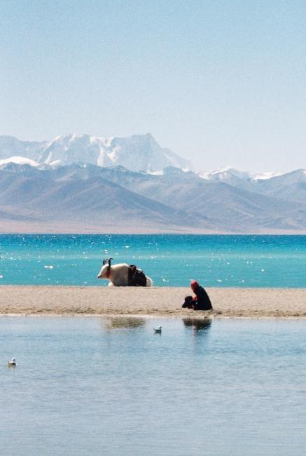 Lake scene in Nepal