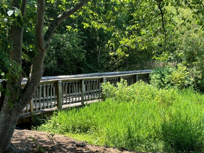 a wooden bridge over a pond