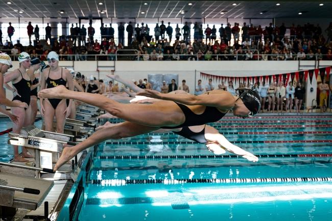 swimmers diving into a pool