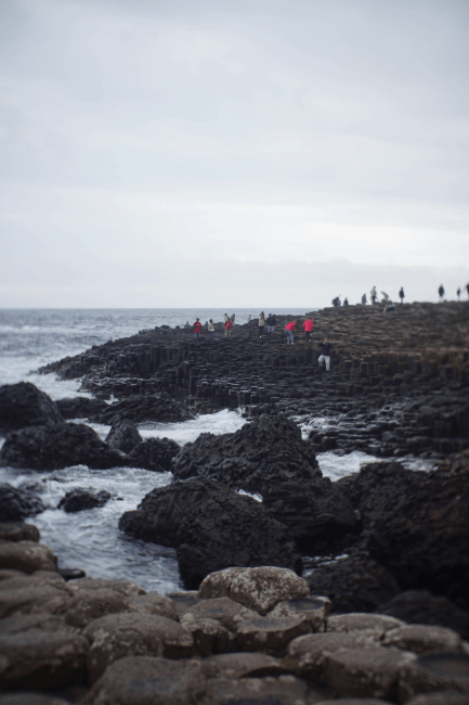 a group of tourists on rocky shores along the coast